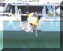 Boat-6143-KodiDoor-Jump.jpg (166488 bytes)